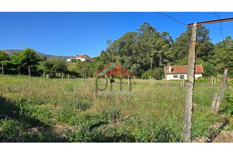 Villa a Viana do Castelo, Viana do Castelo, Viana do Castelo - € 125.000 | Ref: M559 - foto 23