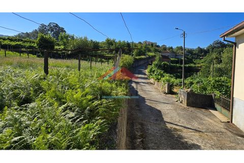 Villa a Viana do Castelo, Viana do Castelo, Viana do Castelo - € 125.000 | Ref: M559 - foto 24