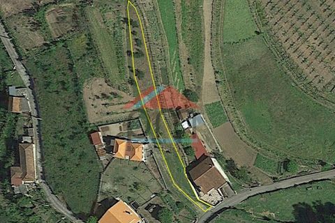 Villa a Viana do Castelo, Viana do Castelo, Viana do Castelo - € 125.000 | Ref: M559 - foto 25