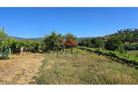 Villa a Viana do Castelo, Viana do Castelo, Viana do Castelo - € 125.000 | Ref: M559 - foto 26