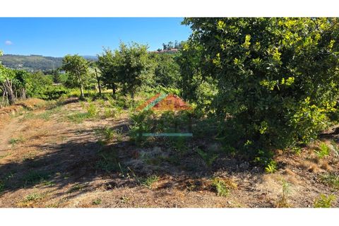 Villa a Viana do Castelo, Viana do Castelo, Viana do Castelo - € 125.000 | Ref: M559 - foto 27