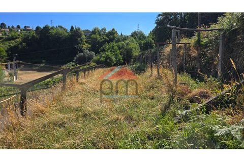 Villa a Viana do Castelo, Viana do Castelo, Viana do Castelo - € 125.000 | Ref: M559 - foto 29