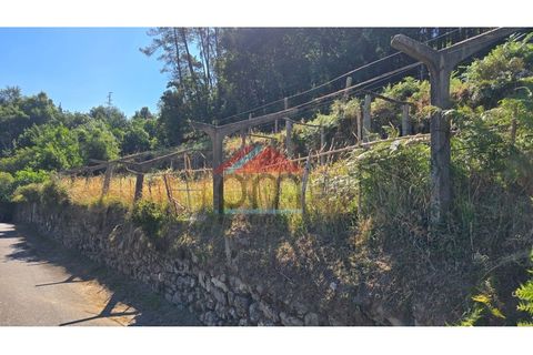 Villa a Viana do Castelo, Viana do Castelo, Viana do Castelo - € 125.000 | Ref: M559 - foto 30