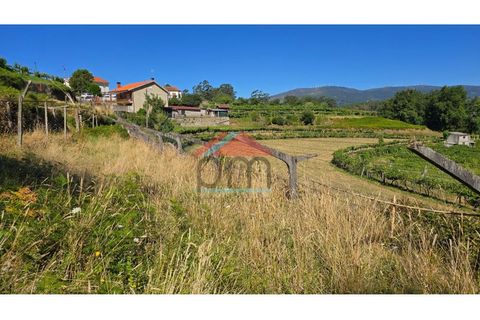 Villa a Viana do Castelo, Viana do Castelo, Viana do Castelo - € 125.000 | Ref: M559 - foto 31