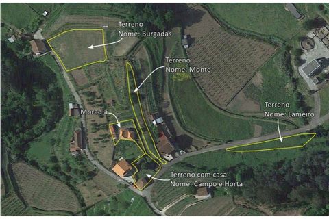Villa a Viana do Castelo, Viana do Castelo, Viana do Castelo - € 125.000 | Ref: M559 - foto 32