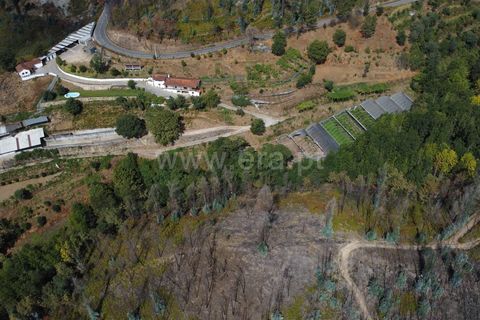 Helårsgrund i Celorico de Basto, Braga, Celorico de Basto - € 17.500 | Ref: 352250207 - foto 3