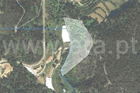 Helårsgrund i Celorico de Basto, Braga, Celorico de Basto - € 17.500 | Ref: 352250207 - foto 4