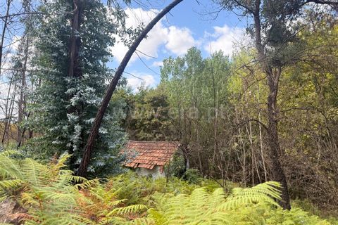 Helårsgrund i Celorico de Basto, Braga, Celorico de Basto - € 17.500 | Ref: 352250207 - foto 6
