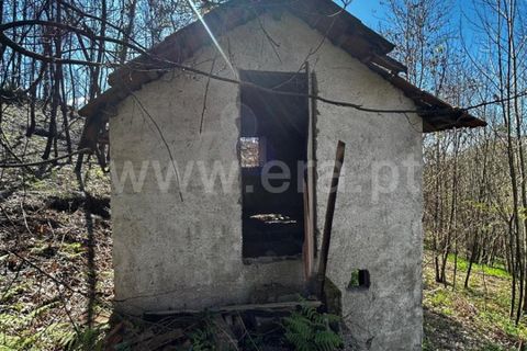 Helårsgrund i Celorico de Basto, Braga, Celorico de Basto - € 17.500 | Ref: 352250207 - foto 9