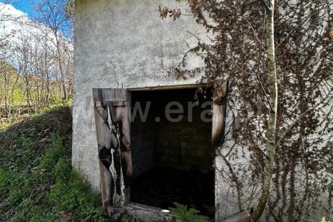 Helårsgrund i Celorico de Basto, Braga, Celorico de Basto - € 17.500 | Ref: 352250207 - foto 13
