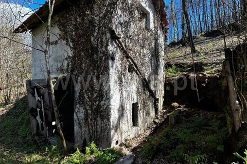 Helårsgrund i Celorico de Basto, Braga, Celorico de Basto - € 17.500 | Ref: 352250207 - foto 1
