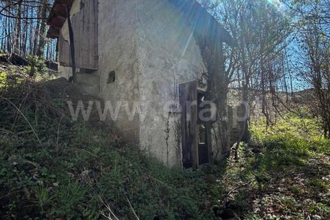 Helårsgrund i Celorico de Basto, Braga, Celorico de Basto - € 17.500 | Ref: 352250207 - foto 16