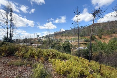 Helårsgrund i Celorico de Basto, Braga, Celorico de Basto - € 17.500 | Ref: 352250207 - foto 19