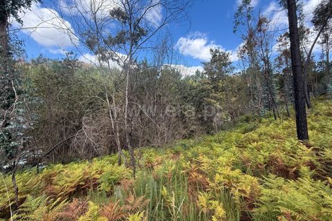 Helårsgrund i Celorico de Basto, Braga, Celorico de Basto - € 17.500 | Ref: 352250207 - foto 20