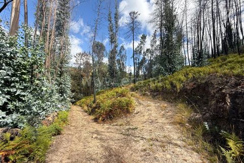 Helårsgrund i Celorico de Basto, Braga, Celorico de Basto - € 17.500 | Ref: 352250207 - foto 23