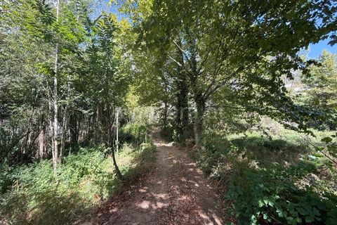 Helårsgrund i Celorico de Basto, Braga, Celorico de Basto - € 17.500 | Ref: 352250207 - foto 24