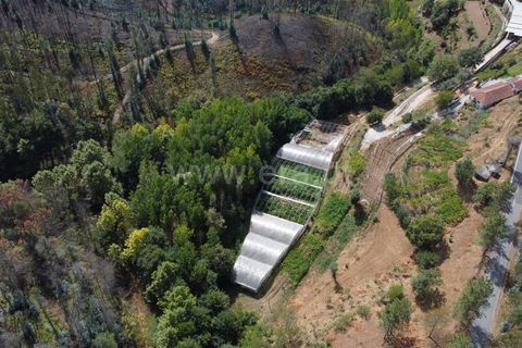 Helårsgrund i Celorico de Basto, Braga, Celorico de Basto - € 17.500 | Ref: 352250207 - foto 26