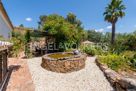 Villa i Monchique, Faro, Monchique - € 1.500.000 | Ref: W-0465L7 - foto 28