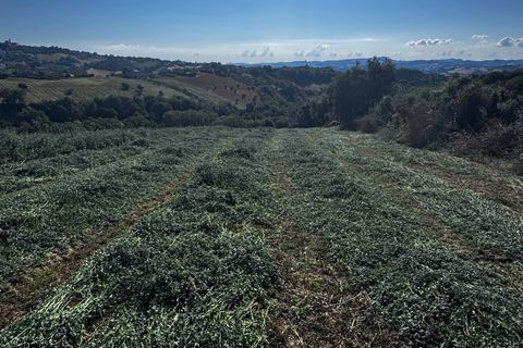 Helårsgrund i Montegiorgio, Fermo, Montegiorgio - € 460.000 | Ref: MG2402 - foto 1