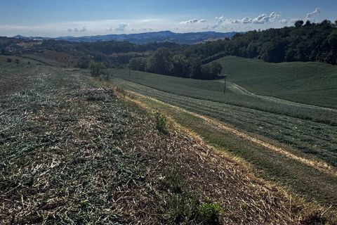 Helårsgrund i Montegiorgio, Fermo, Montegiorgio - € 460.000 | Ref: MG2402 - foto 2