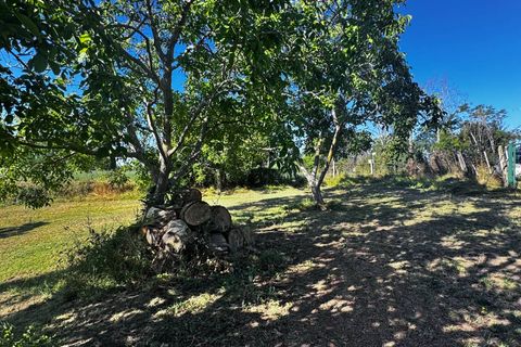 Helårsgrund i Montegiorgio, Fermo, Montegiorgio - € 460.000 | Ref: MG2402 - foto 5