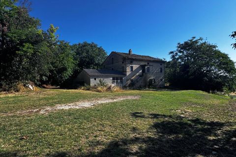 Helårsgrund i Montegiorgio, Fermo, Montegiorgio - € 460.000 | Ref: MG2402 - foto 7