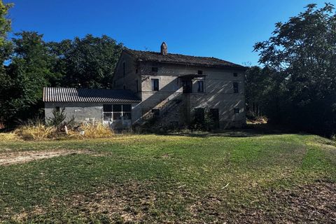 Helårsgrund i Montegiorgio, Fermo, Montegiorgio - € 460.000 | Ref: MG2402 - foto 8