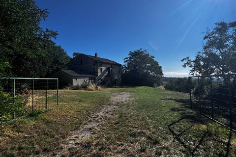 Helårsgrund i Montegiorgio, Fermo, Montegiorgio - € 460.000 | Ref: MG2402 - foto 10
