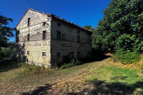 Helårsgrund i Montegiorgio, Fermo, Montegiorgio - € 460.000 | Ref: MG2402 - foto 15