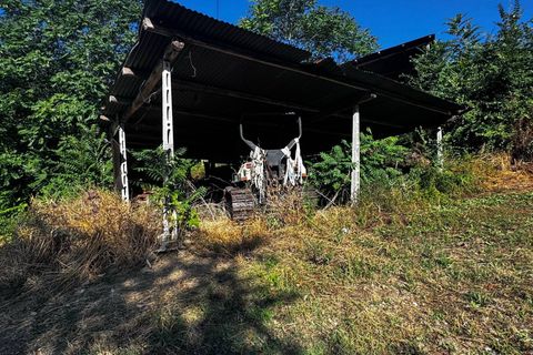 Helårsgrund i Montegiorgio, Fermo, Montegiorgio - € 460.000 | Ref: MG2402 - foto 17