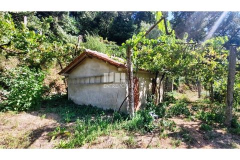 Helårsgrund i Arcos de Valdevez, Viana do Castelo, Arcos de Valdevez - € 45.000 | Ref: VCM14525 - foto 4