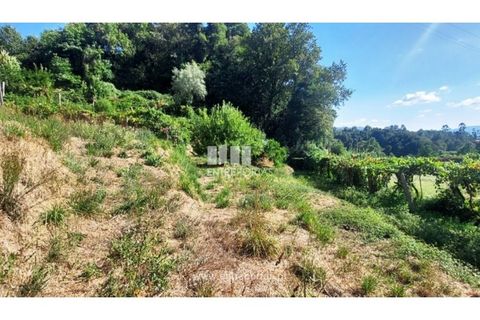 Helårsgrund i Arcos de Valdevez, Viana do Castelo, Arcos de Valdevez - € 45.000 | Ref: VCM14525 - foto 11