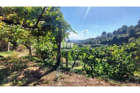 Helårsgrund i Arcos de Valdevez, Viana do Castelo, Arcos de Valdevez - € 45.000 | Ref: VCM14525 - foto 13