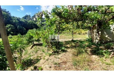 Helårsgrund i Arcos de Valdevez, Viana do Castelo, Arcos de Valdevez - € 45.000 | Ref: VCM14525 - foto 14