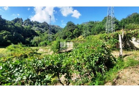 Helårsgrund i Arcos de Valdevez, Viana do Castelo, Arcos de Valdevez - € 45.000 | Ref: VCM14525 - foto 15