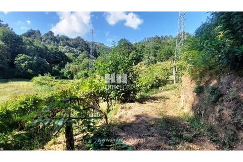 Helårsgrund i Arcos de Valdevez, Viana do Castelo, Arcos de Valdevez - € 45.000 | Ref: VCM14525 - foto 16