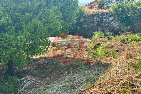 Helårsgrund i Viana do Castelo, Viana do Castelo, Viana do Castelo - € 255.000 | Ref: TER_1404 - foto 6