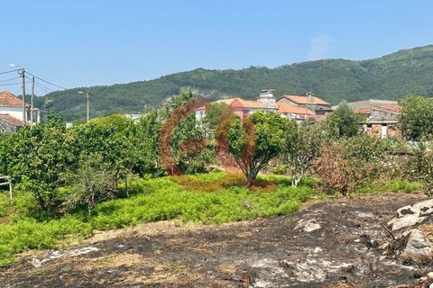 Helårsgrund i Viana do Castelo, Viana do Castelo, Viana do Castelo - € 255.000 | Ref: TER_1404 - foto 11