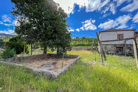 Villa i Viana do Castelo, Viana do Castelo, Viana do Castelo - € 125.000 | Ref: 4284 - foto 6