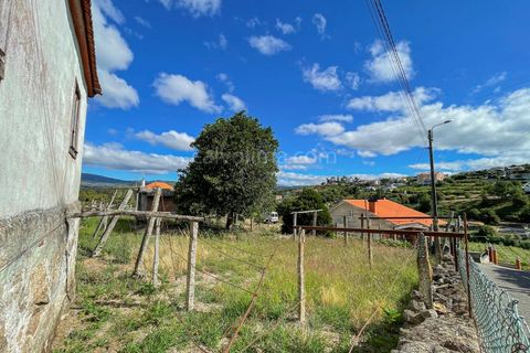 Villa i Viana do Castelo, Viana do Castelo, Viana do Castelo - € 125.000 | Ref: 4284 - foto 7