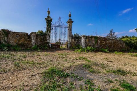 Farm i Viana do Castelo, Viana do Castelo, Viana do Castelo - € 485.000 | Ref: 4021 - foto 5