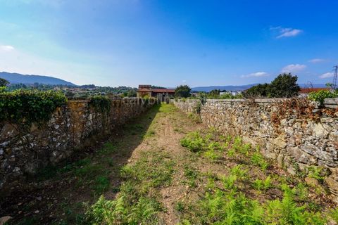 Farm i Viana do Castelo, Viana do Castelo, Viana do Castelo - € 485.000 | Ref: 4021 - foto 6