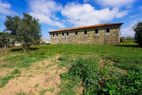Farm i Viana do Castelo, Viana do Castelo, Viana do Castelo - € 485.000 | Ref: 4021 - foto 14