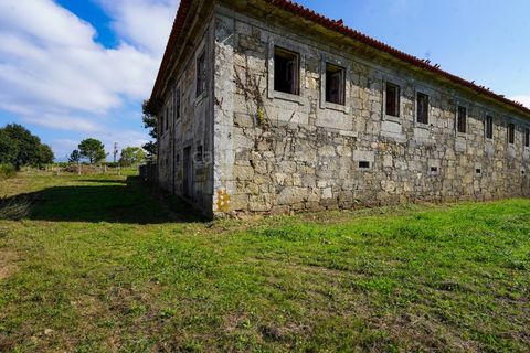 Farm i Viana do Castelo, Viana do Castelo, Viana do Castelo - € 485.000 | Ref: 4021 - foto 15
