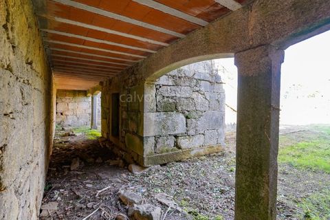 Farm i Viana do Castelo, Viana do Castelo, Viana do Castelo - € 485.000 | Ref: 4021 - foto 21