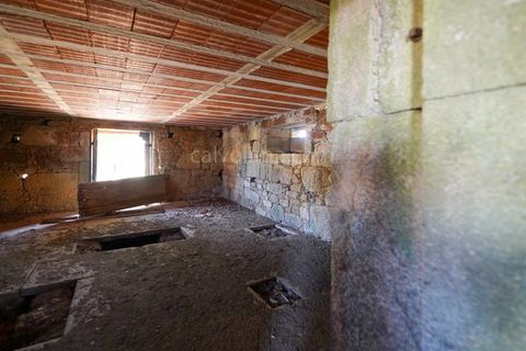 Farm i Viana do Castelo, Viana do Castelo, Viana do Castelo - € 485.000 | Ref: 4021 - foto 23