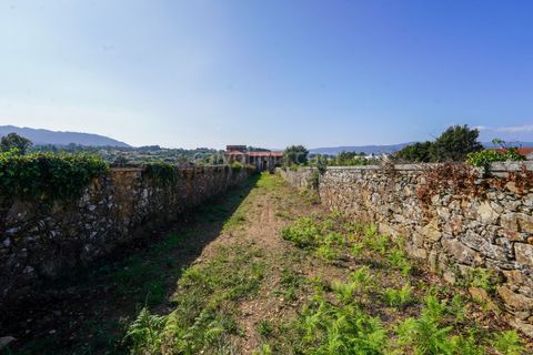 Farm i Viana do Castelo, Viana do Castelo, Viana do Castelo - € 485.000 | Ref: 4021 - foto 41