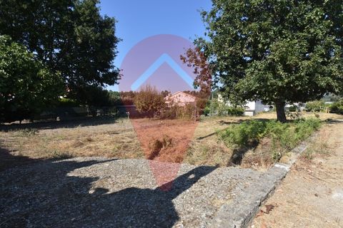 Terra a Fontoura, Viana do Castelo, Fontoura - € 25.000 | Ref: TER_285 - foto 3