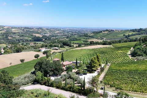 Villa i Borghi, Forli-Cesena, Borghi - € 1.500.000 | Ref: 4507 - foto 12