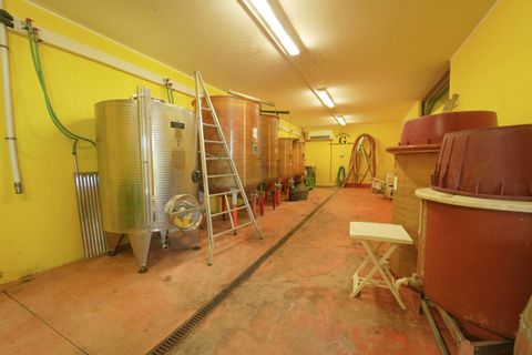 Villa i Borghi, Forli-Cesena, Borghi - € 1.500.000 | Ref: 4507 - foto 23
